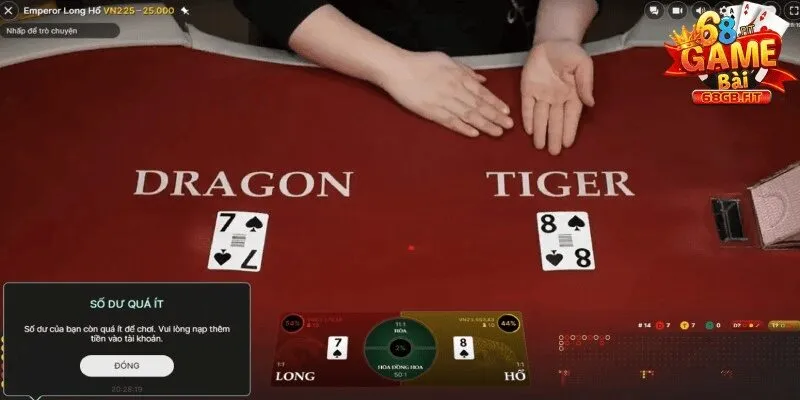 Tất tật cửa cược thông dụng ở dragon tiger